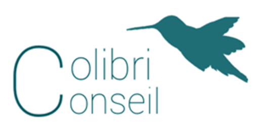 Logo Colibri Conseil
